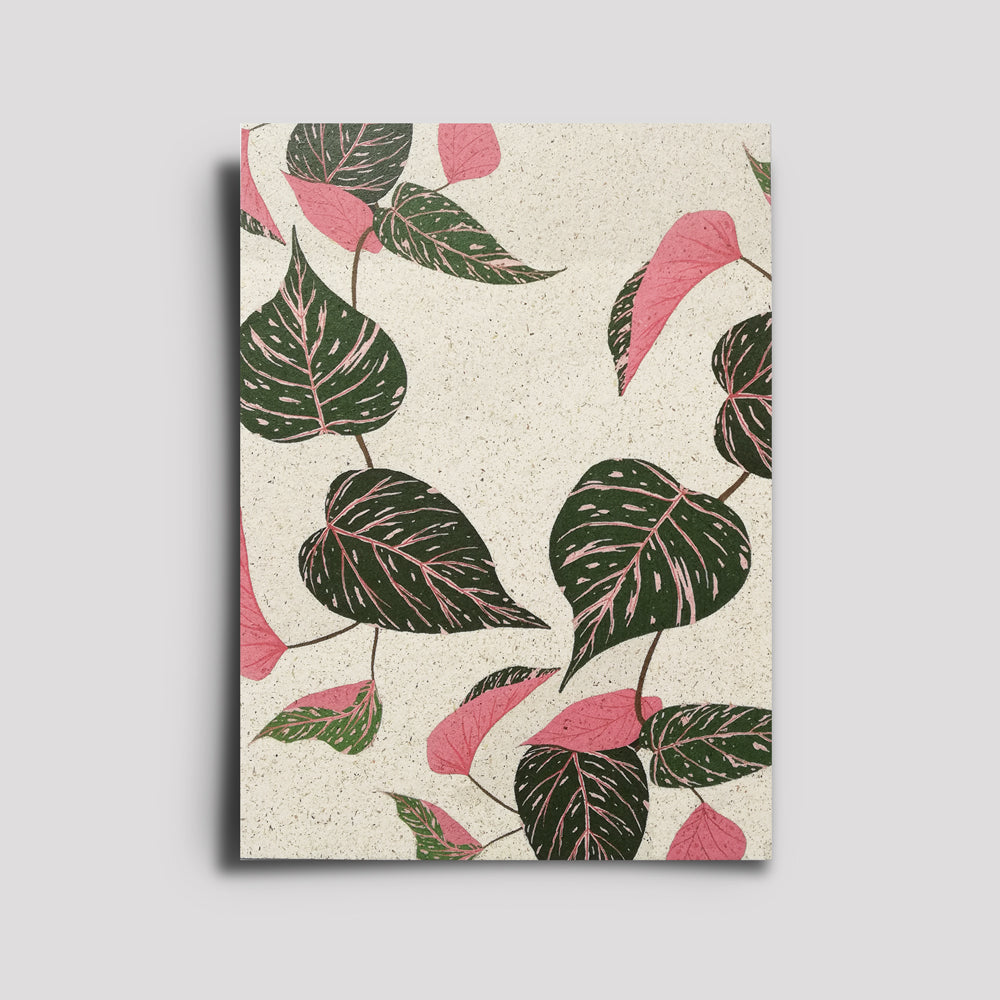 Postkarte - Plants Are Friends / Philodendron Pink Princess 1