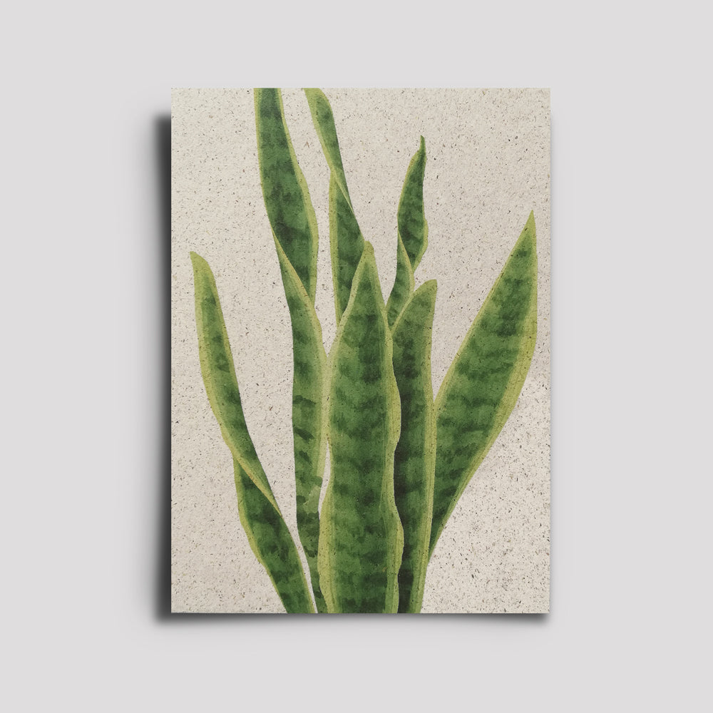 Postkarte - Plants Are Friends / Bogenhanf