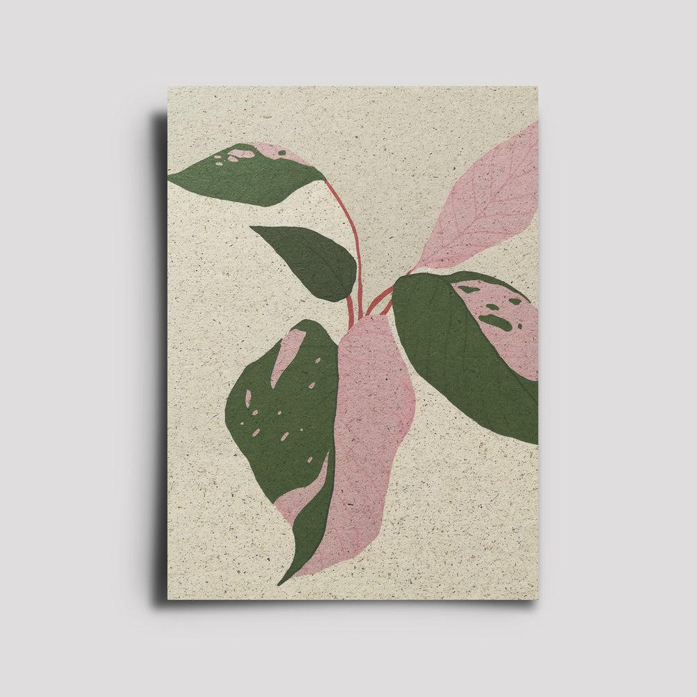 Postkarte - Plants Are Friends / Philodendron Pink Princess 2