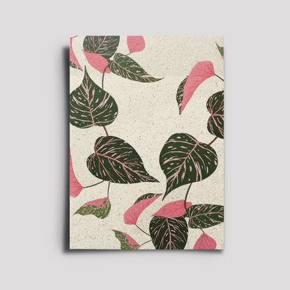 Postkarte - Plants Are Friends / Philodendron Pink Princess 1