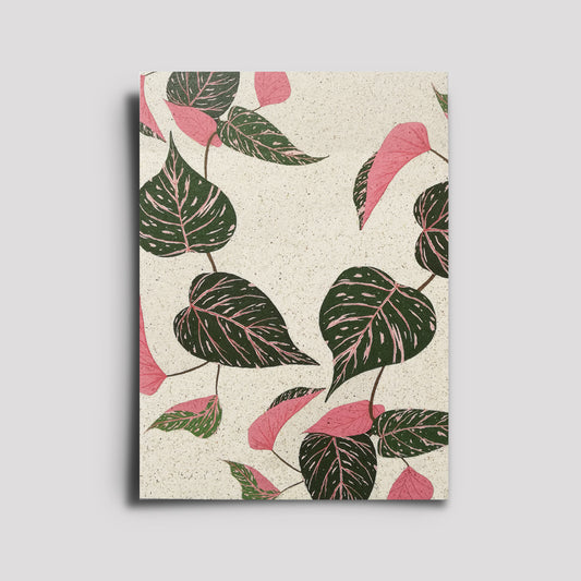 Postkarte - Plants Are Friends / Philodendron Pink Princess 1