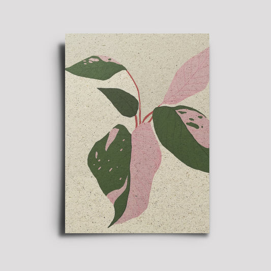 Postkarte - Plants Are Friends / Philodendron Pink Princess 2