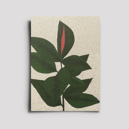Postkarte - Plants Are Friends / Ficus Elastica