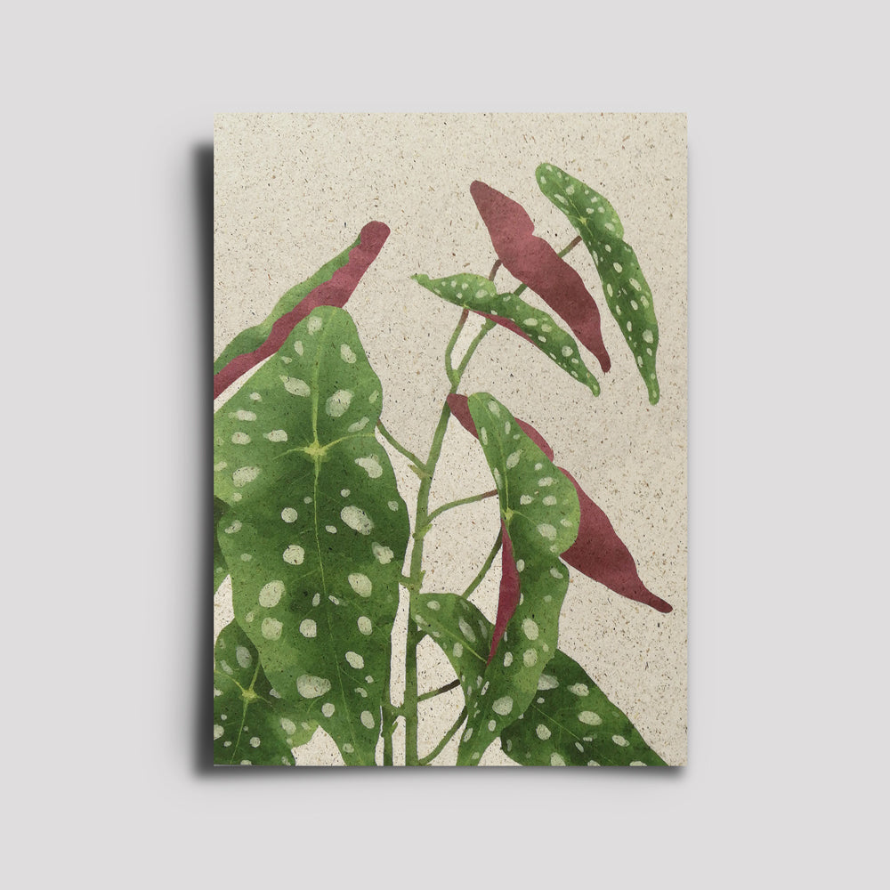 Postkarte - Plants Are Friends / Polka Dot Begonia
